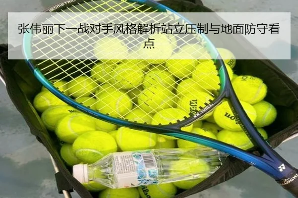 张伟丽下一战对手风格解析站立压制与地面防守看点